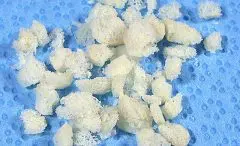Normal cancellous bone chips vet dentistry bone graft material