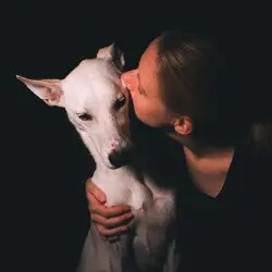dog kiss, taking care of dog after jaw surgery