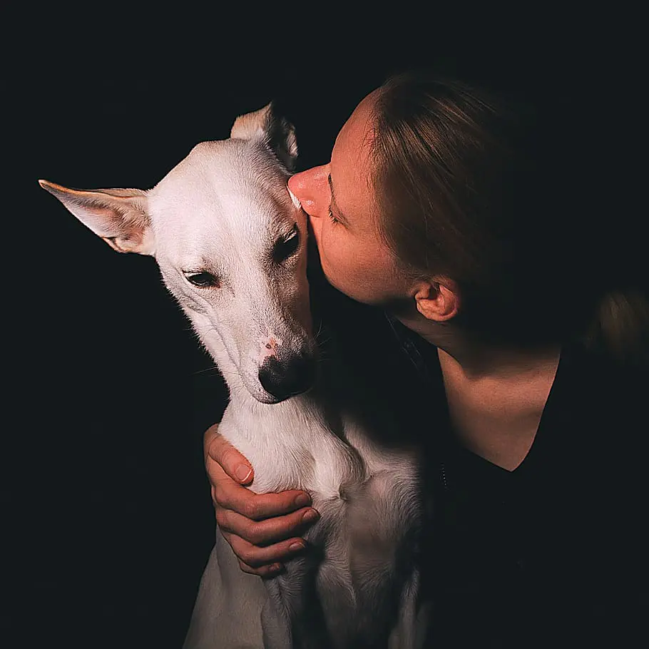 How to Care for Your Pet After Jaw Surgery