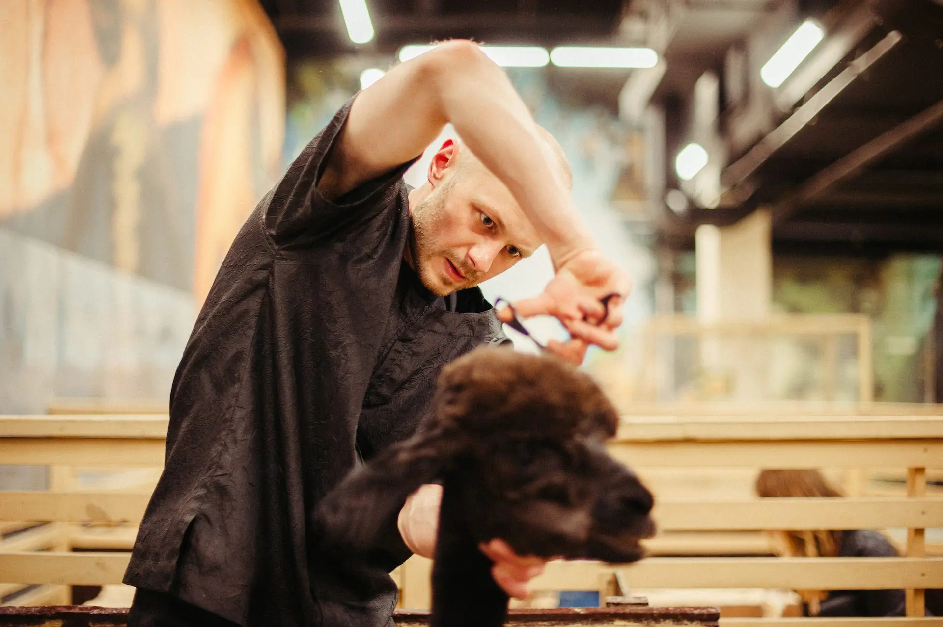 Best Groomers in Bozeman, Montana