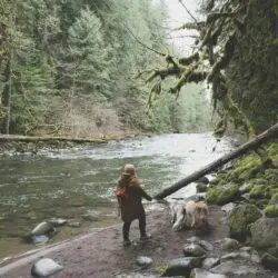safely hike with dog in Bozeman