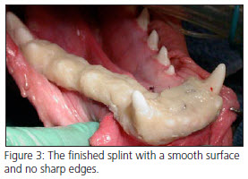 Mandibular Fracture repaired on dog - Veterinary Dentistry
