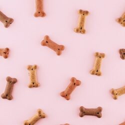 bone-shaped dog treats scattered across pink background